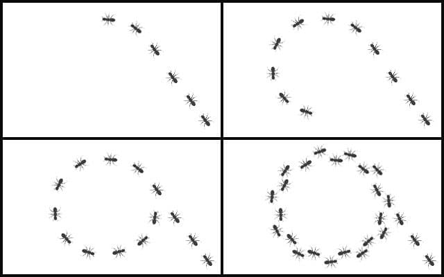 앤트밀