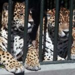 동물원