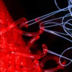 벨크로