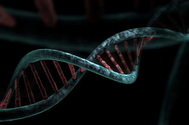 남자가 멸종할 수 있다 DNA