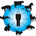 인수공통감염